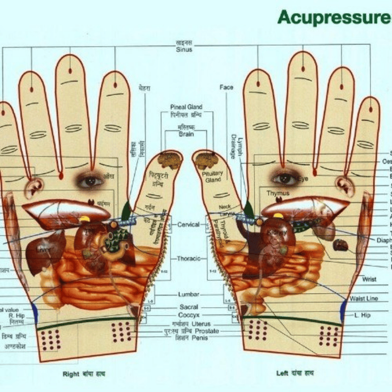 Natural healing center