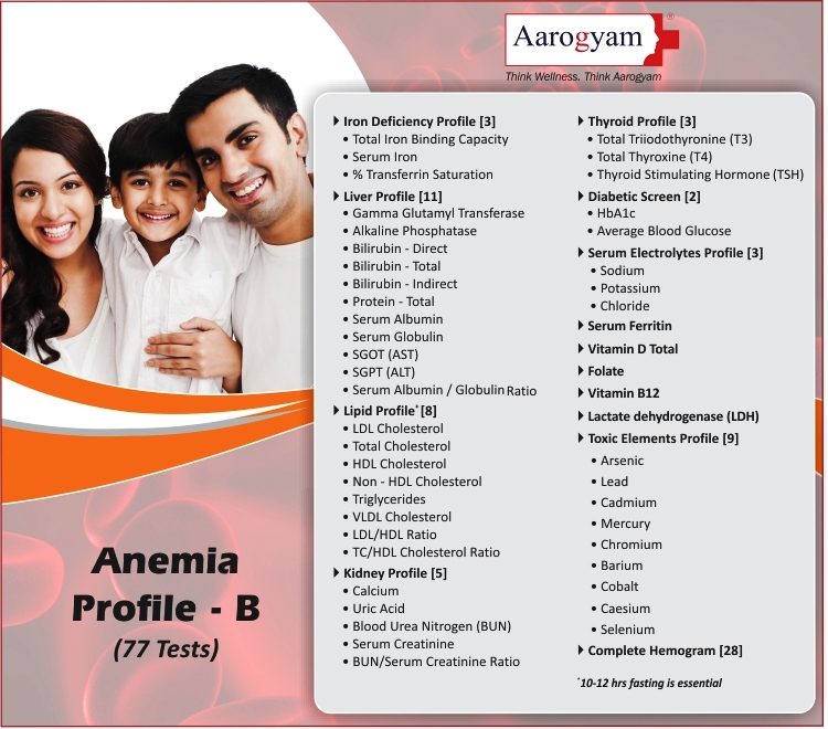Anemia Profile B