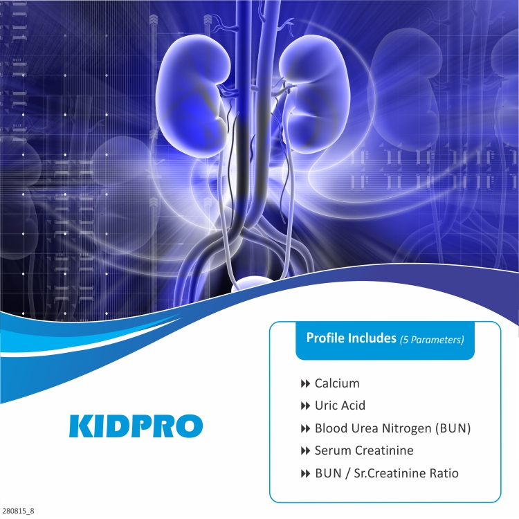 Kidney Function Tests (KFT)