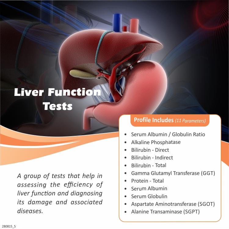 Liver Function Tests (LFT)