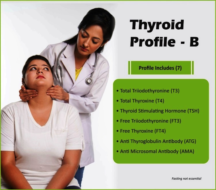 Thyroid Profile - B