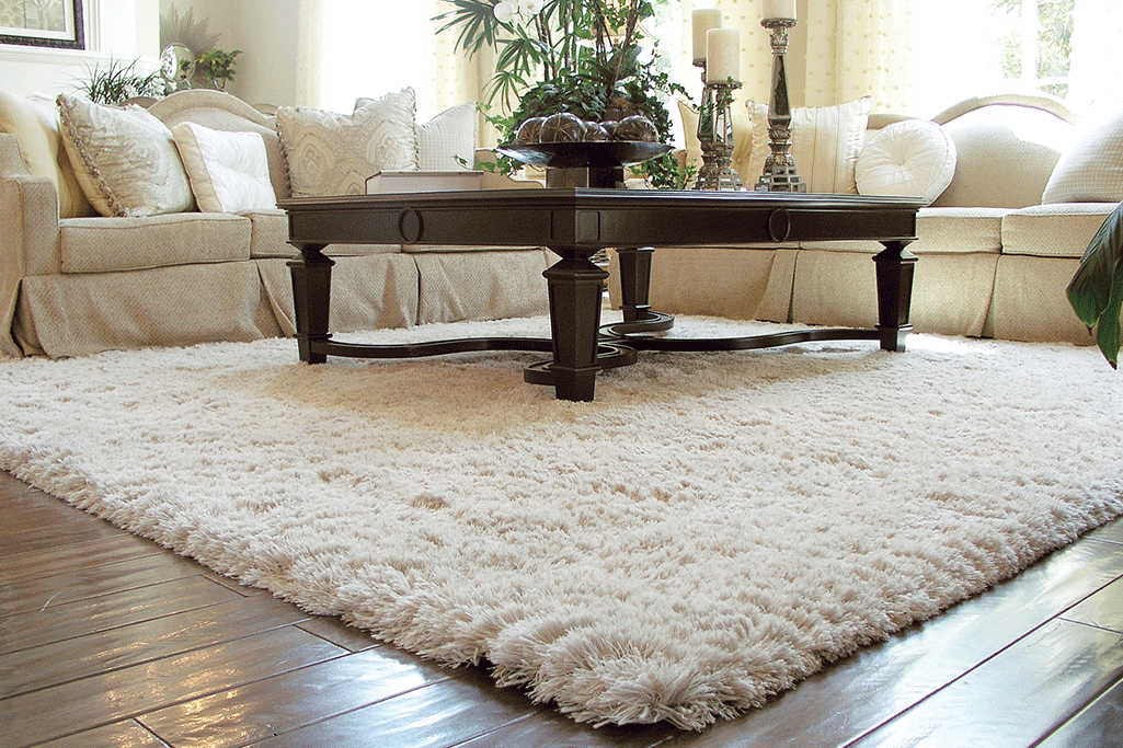 Carpet & carpet design