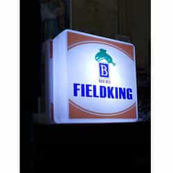 LED Lollipop  Flange