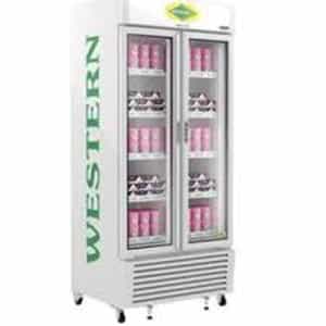 900 WESTERN VERTICAL FREEZER