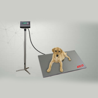 Animal Weighing Scale Ashok Vihar Phase III