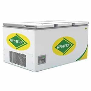 525HE WESTERN HATCHED DOOR EUTECTIC FREEZERS