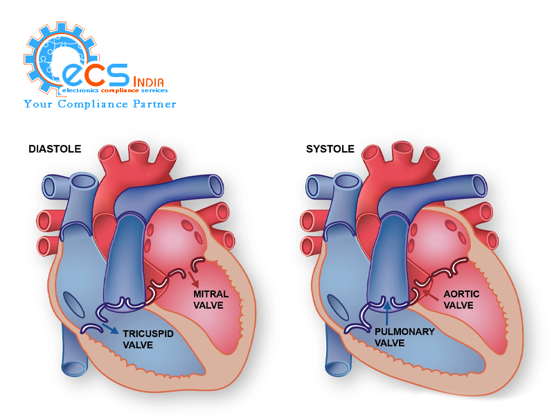 Heart Valves