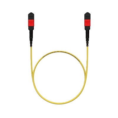 16F AR Coated MPO MTP Trunk Cable
