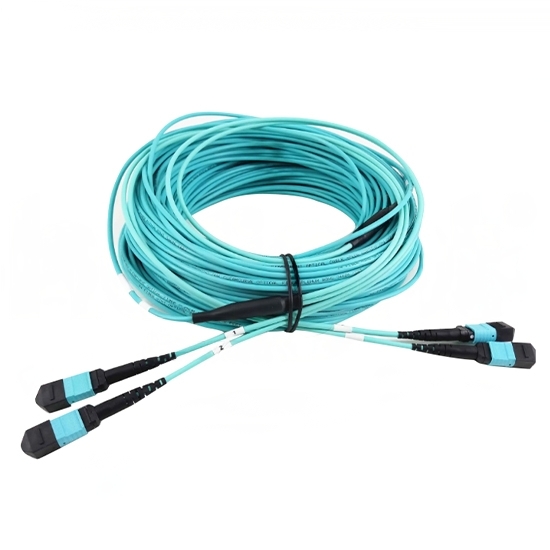24-Fiber 2×MTP/MPO-12 High-Density Fiber Trunk Cable