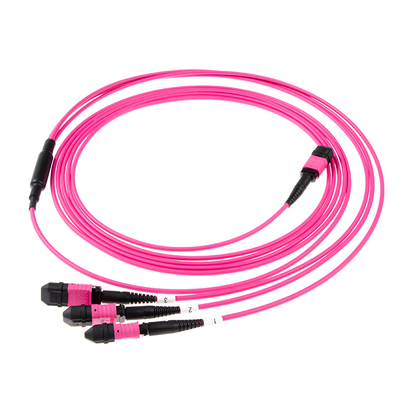 24-Fiber MPO-8F 3×MPO OM4 Fiber Optic Patch Cord