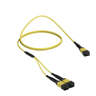 24 MPO To 2x12 MPO Fiber Patch Cord OS2