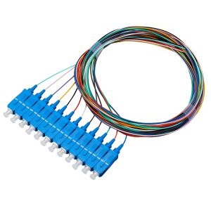 Bundle 12 Cores SMF Pigtail