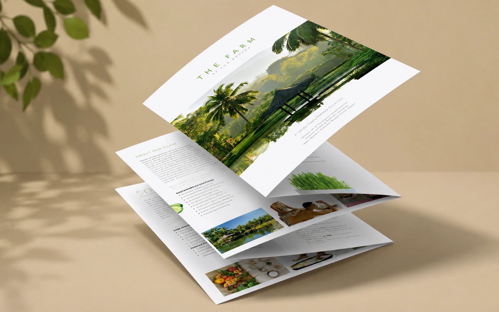 Concertina Fold Leaflets & Flyers