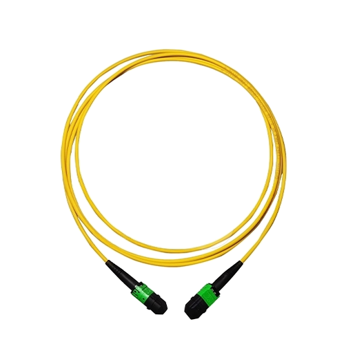 Mini Plus MPO 3.0mm SM/MM OFNP Fiber Optic Patch Cord