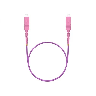 Networks SC SC Patch Cord