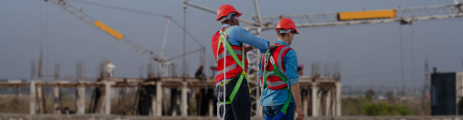 Safety Harness with Energy Absorber Forked Lanyard