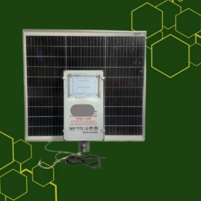 40W Inbuilt Battery Solar Street Light
