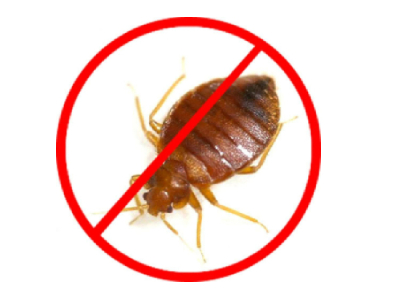 Bed Bug Control Service