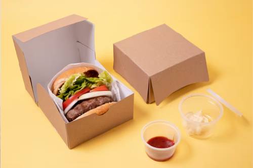 Biodegradable Burger Boxes