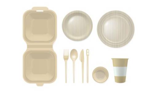Biodegradable Plates