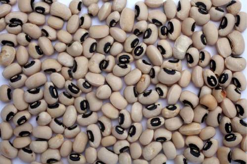 Black Eyed peas