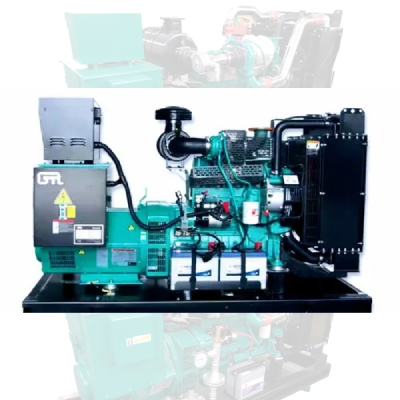 CNG/PNG Gas Generator Set