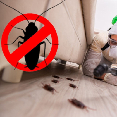 Cockroach Pest Control Service