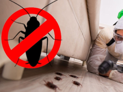 Cockroach Pest Control Service