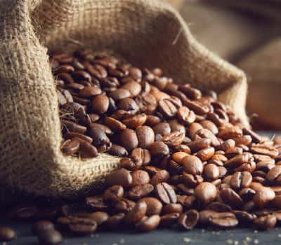 Coffee Aroma of Growth