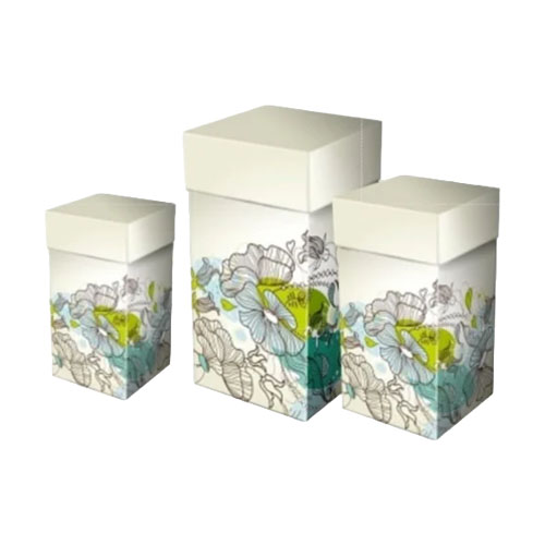 Duplex Printed Boxes