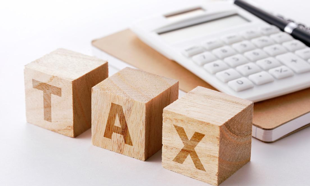 Other Fully Exempt Allowances