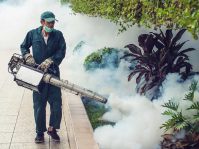 Fumigation Service(Fogging)