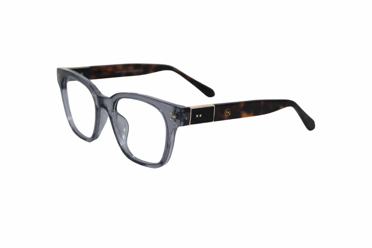KG2535 Men Aviator Eye Frames