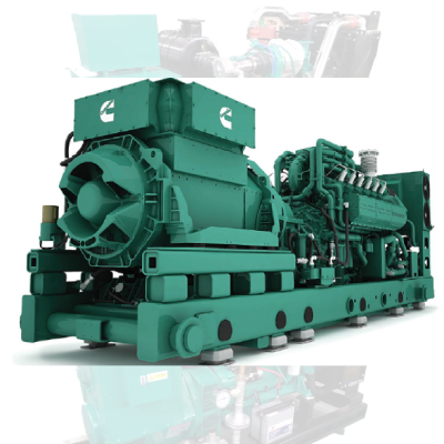 Natural Gas Generator