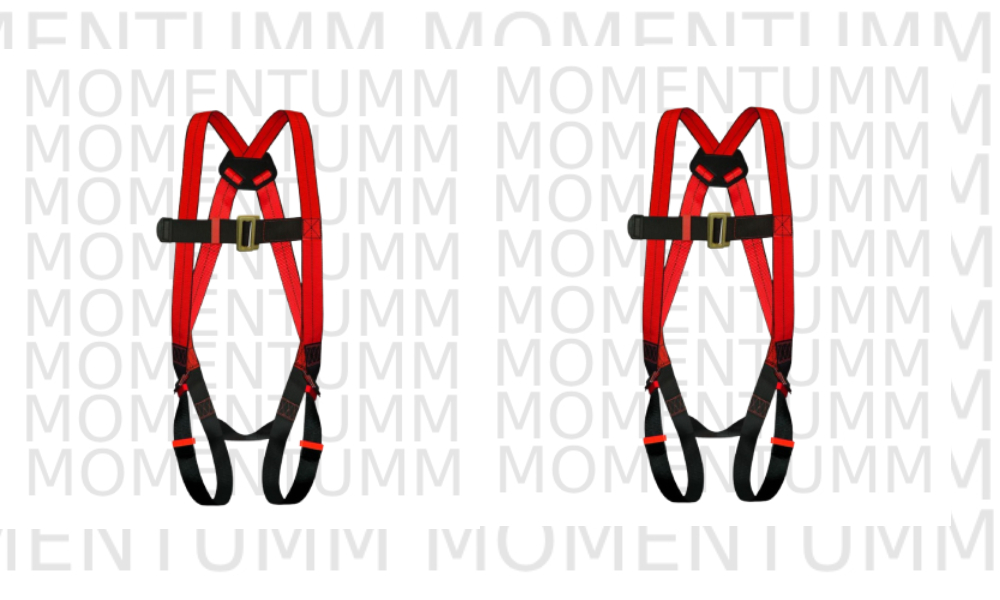 PS-10 Full Body Harness