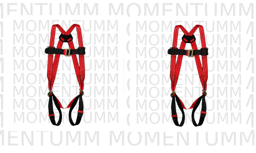PS-11 Full Body Harness