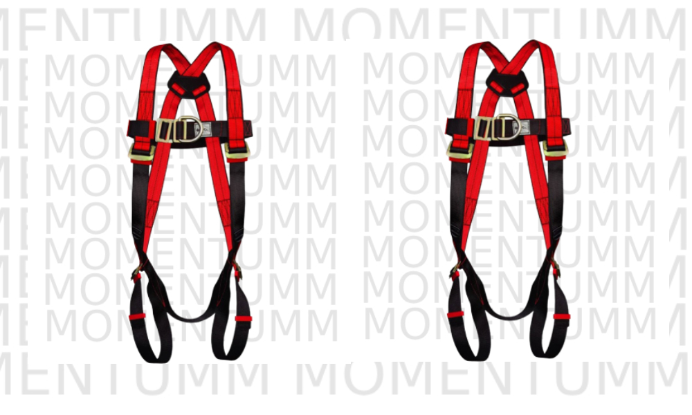PS 24 Safety Harness