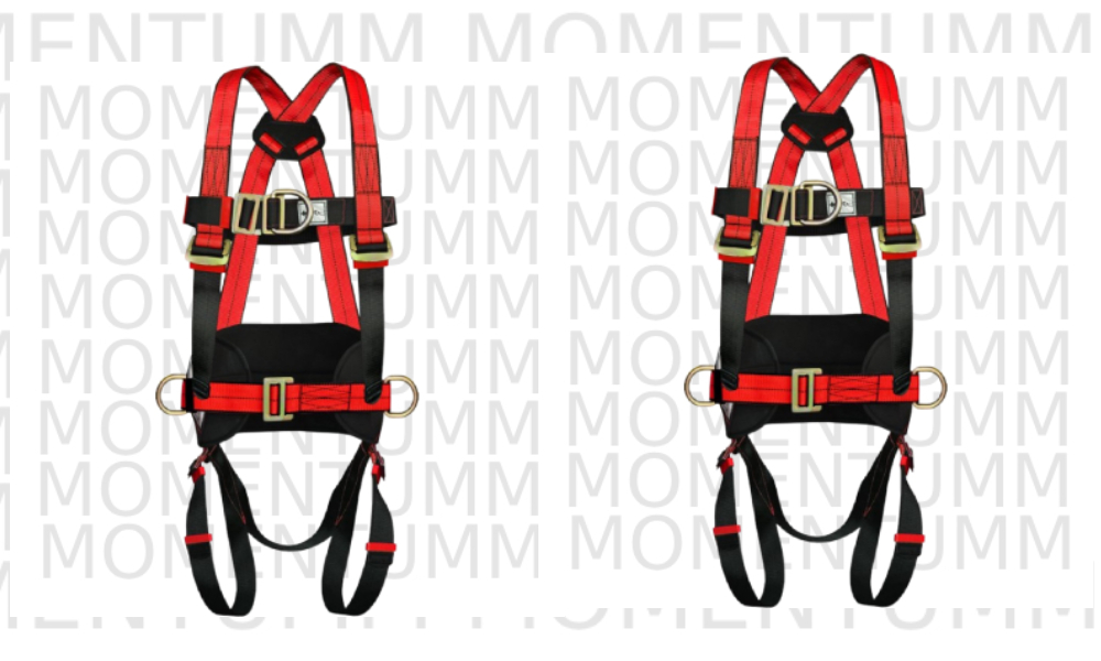 PS 44 Safety Harness