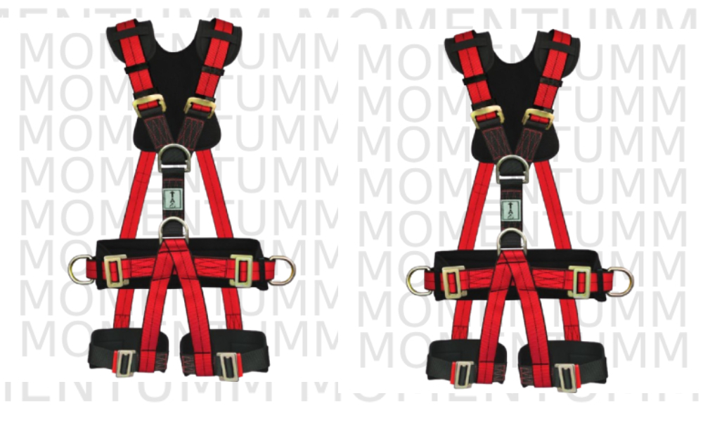 PS 56 Safety Harness