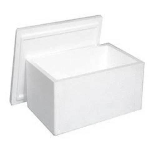White Thermocol Ice Box
