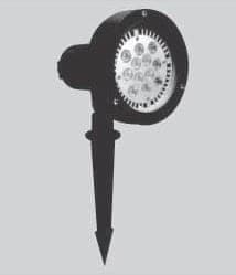 12W Spot Light