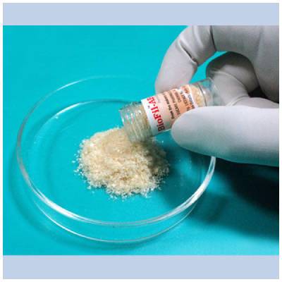 Collagen Particle