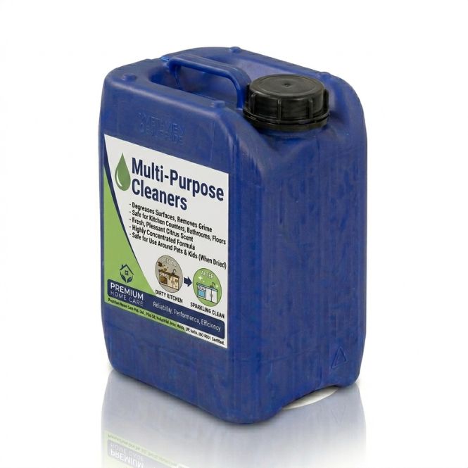 Multi-Purpose Aerosol  Foam Cleaner