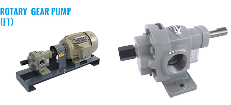 Rotary Gear Pump (FT)