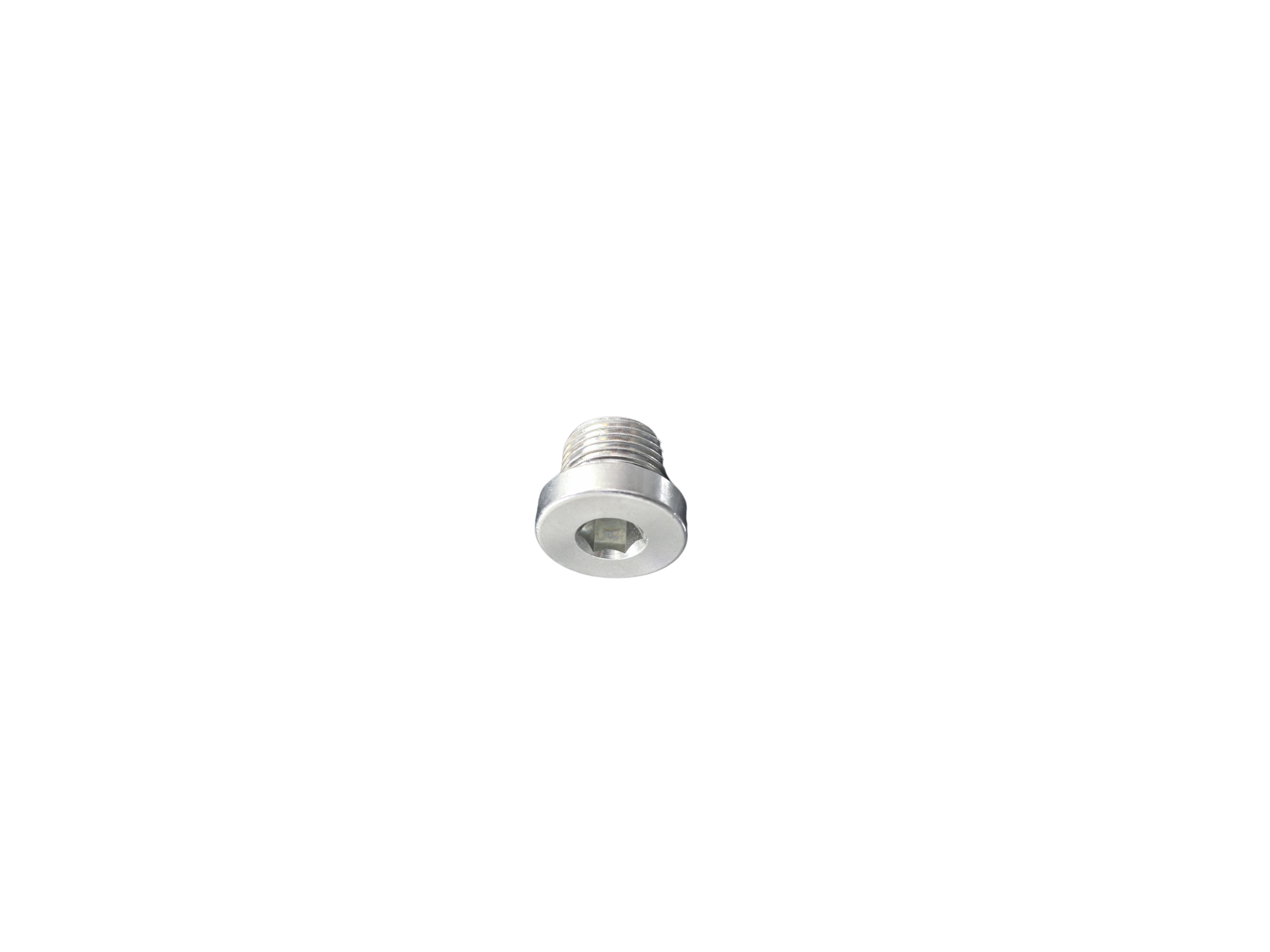 VSTI-R-Blanking plug for ports Male BSPP thread