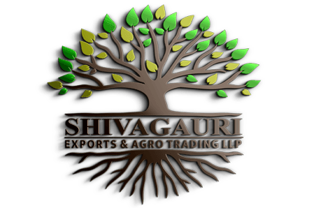 Shivagauri Exports & Agro Trading LLP