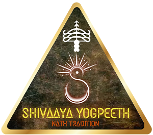 shivaaya-yogpeeth