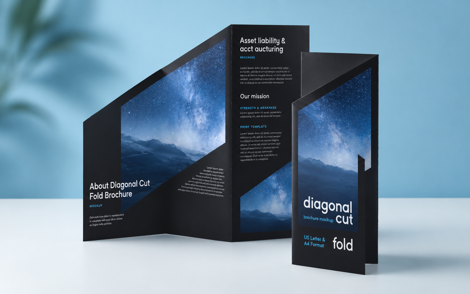 Custom Brochures