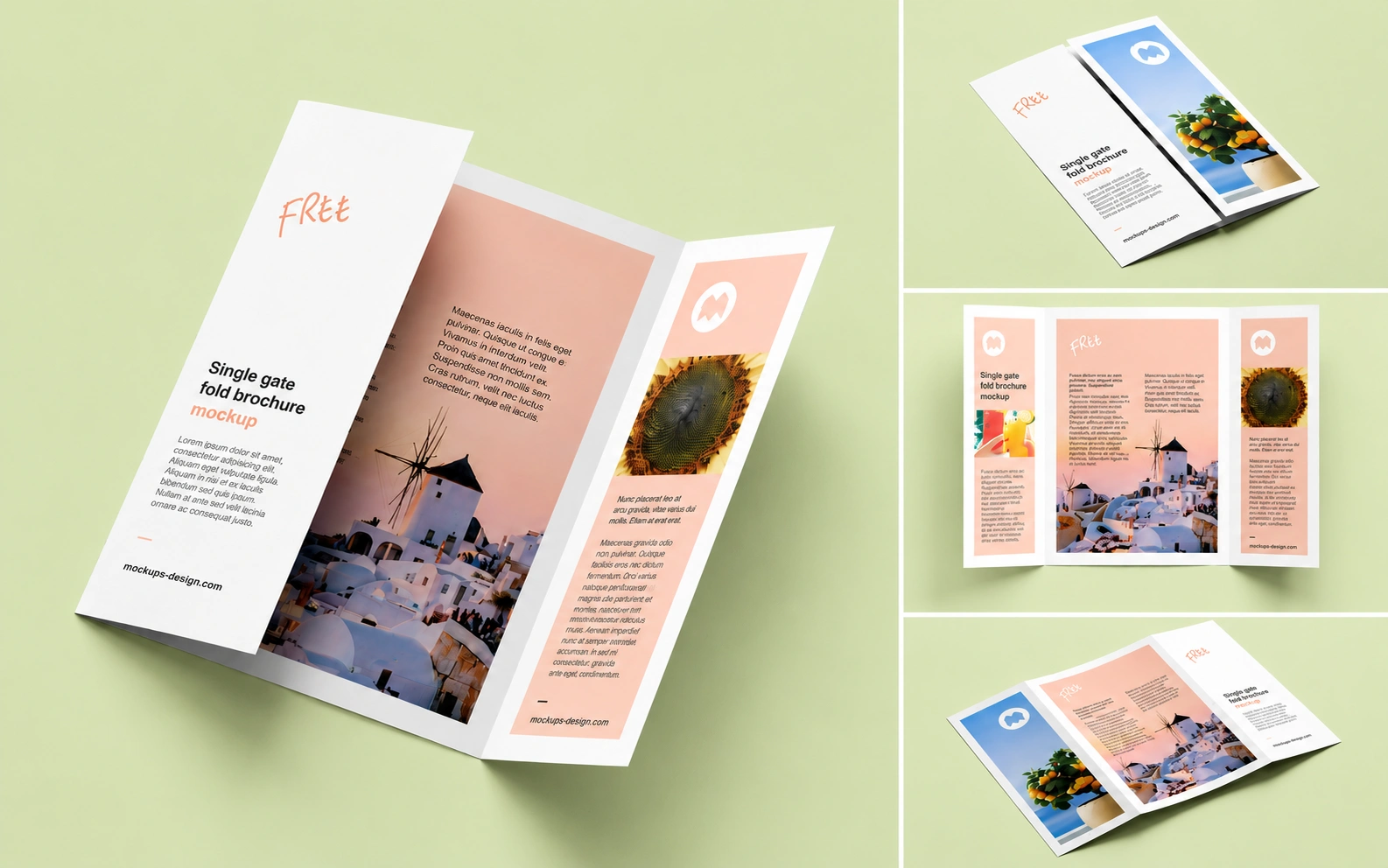 Gate Fold Leaflets & Flyers