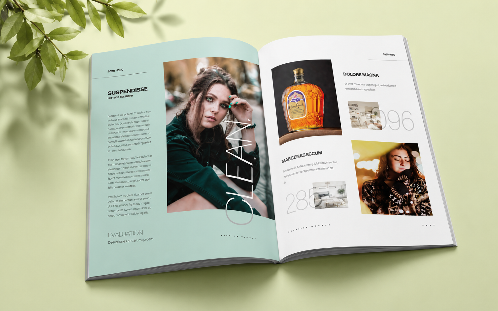 Magazines Booklets